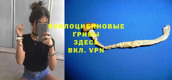 первитин Алексеевка