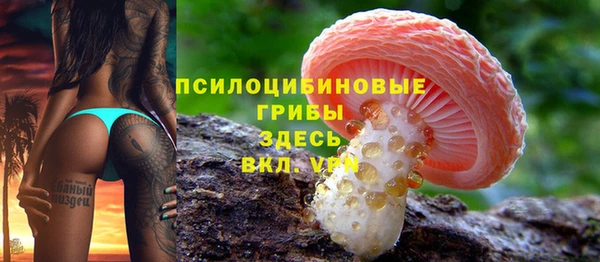 крисы Алзамай