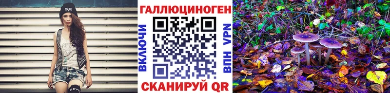 Псилоцибиновые грибы Magic Shrooms  Поронайск 